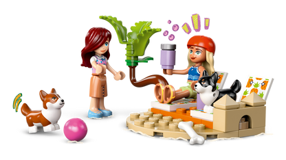 LEGO® set 42641