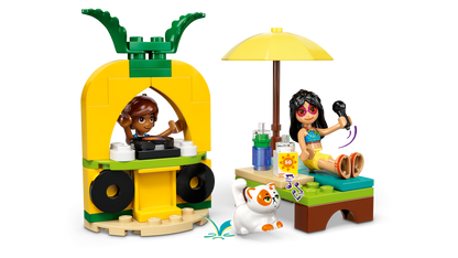 Unicorn & Flamingo Pool Party