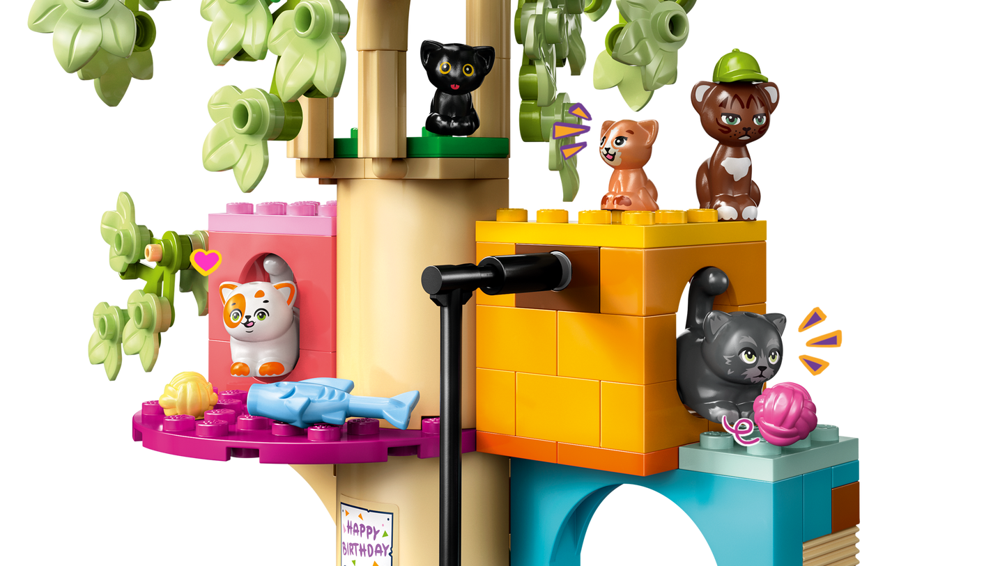 Cat Birthday Party