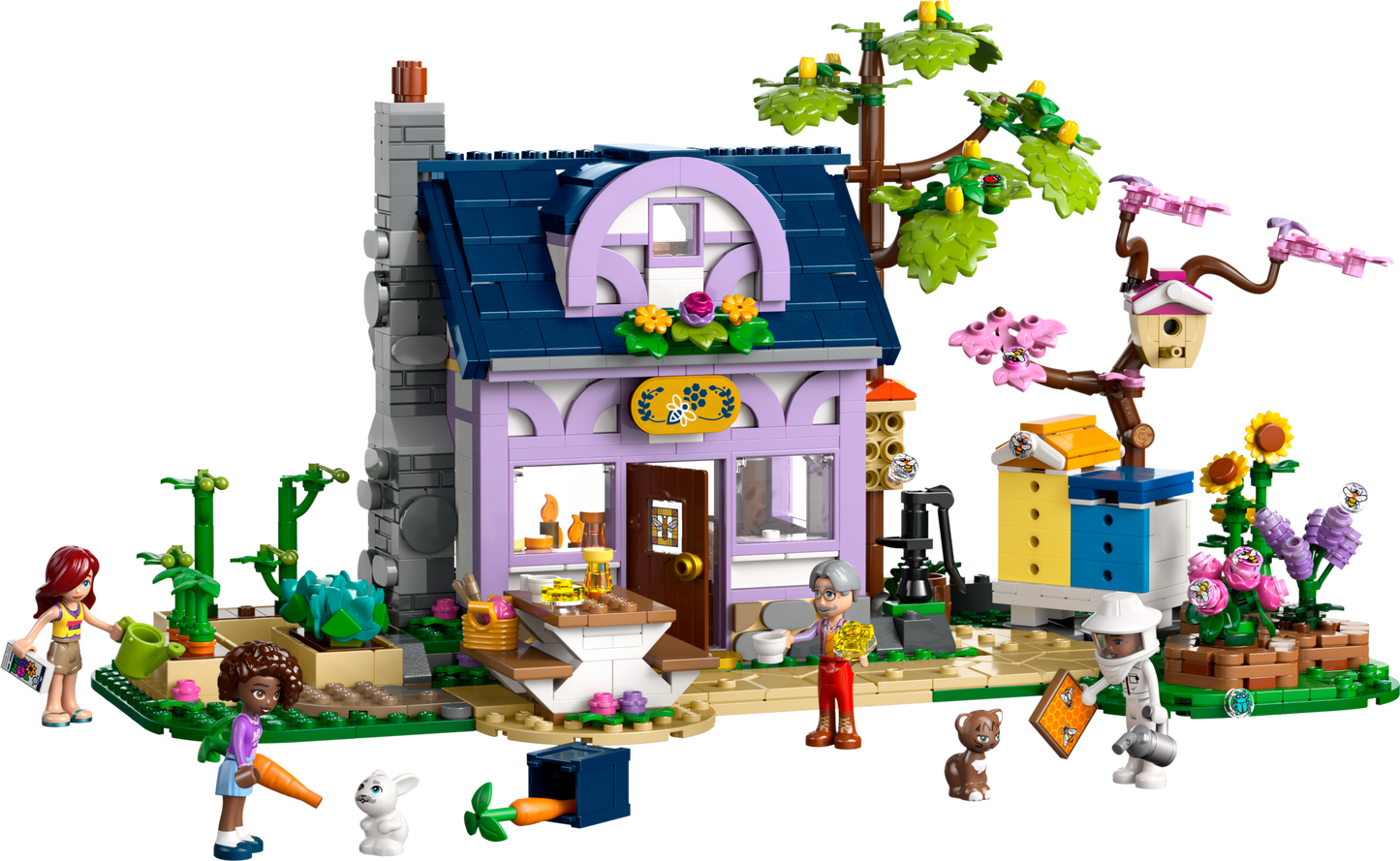 LEGO® set 42669 product image