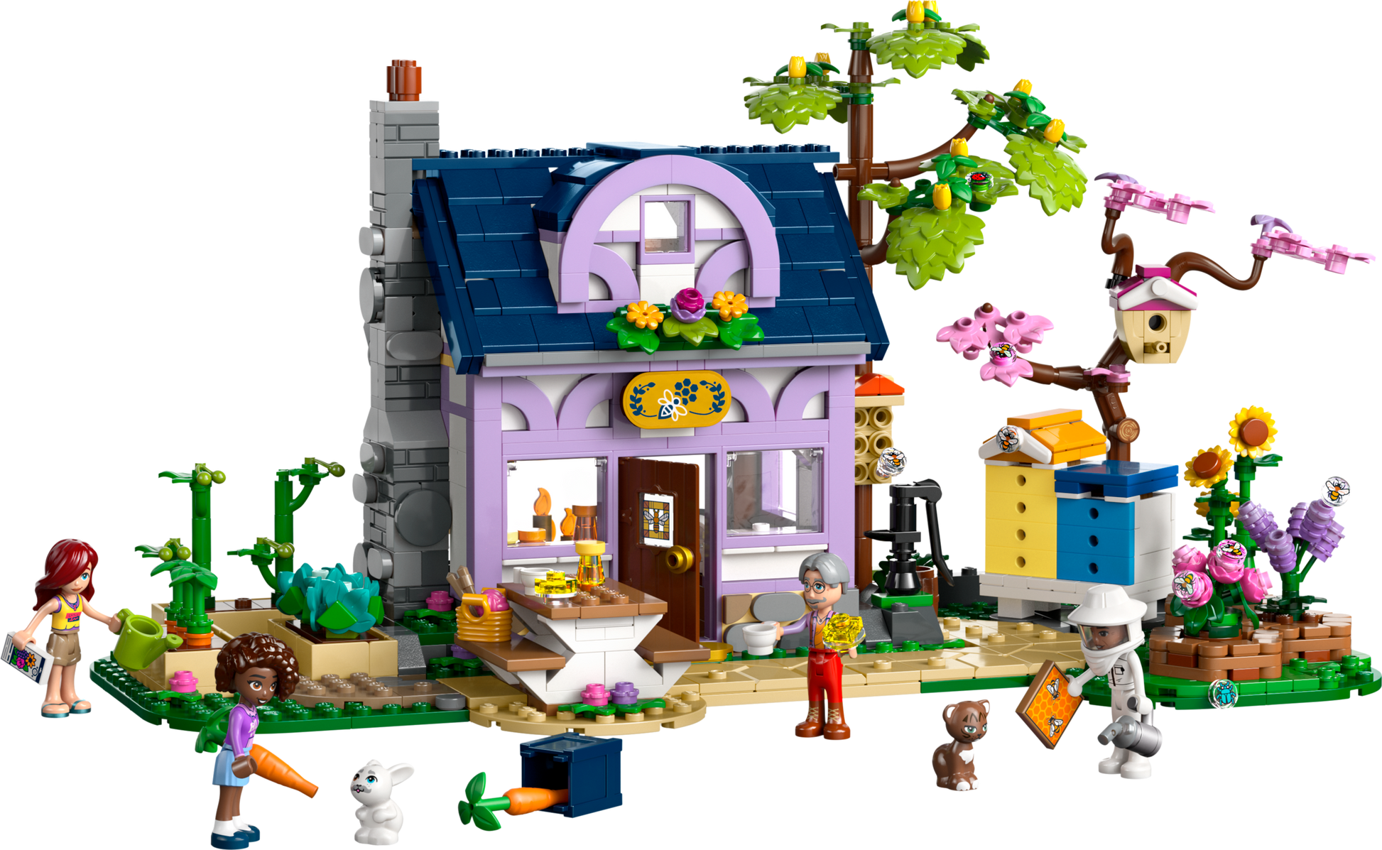 LEGO® set 42669 product image