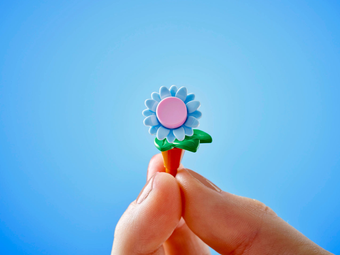 Plant Café & Flower Shop