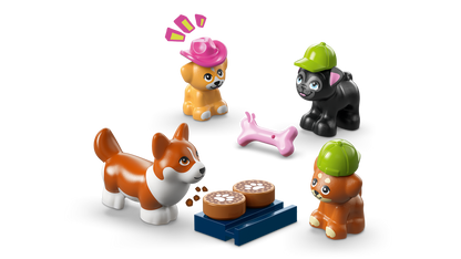 Dog Treats Bakery