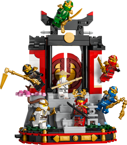 Ninja Character Display 15th Anniversary