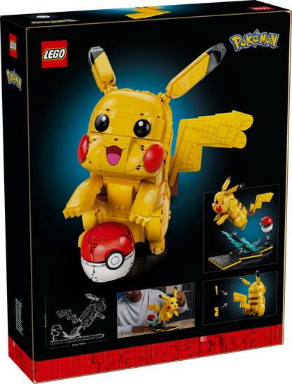 Pikachu and Poké Ball
