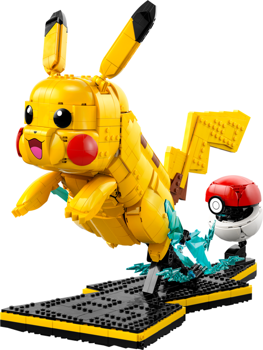 Pikachu and Poké Ball