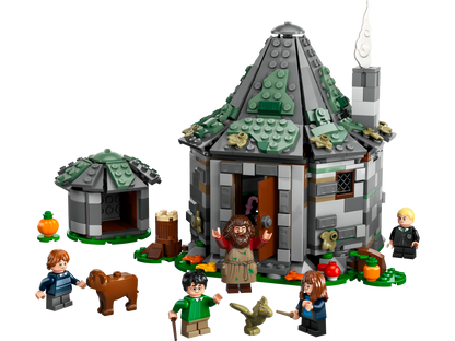 Hagrid's Hut: An Unexpected Visit