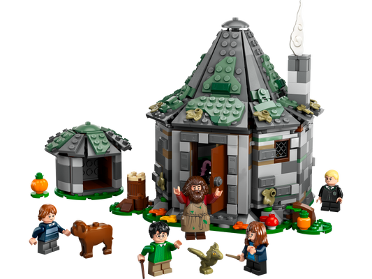 Hagrid's Hut: An Unexpected Visit
