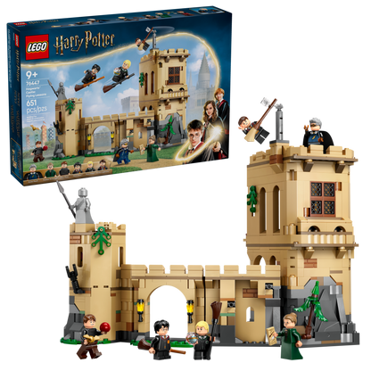 LEGO® set 76447 product box