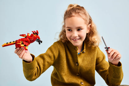 Fawkes: Dumbledore's Phoenix