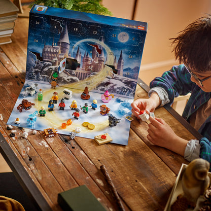 LEGO®  Harry Potter Advent Calendar 2025