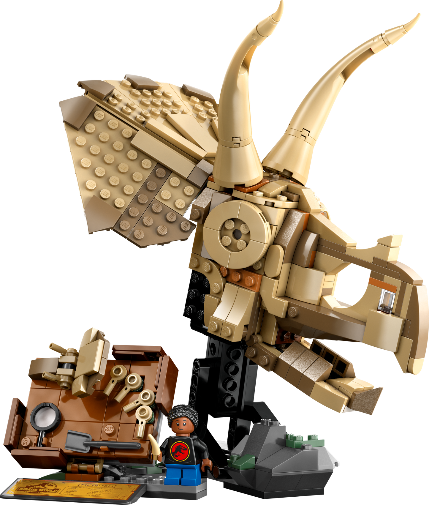 LEGO® set 76969 product image