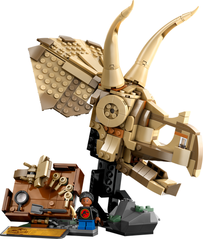 LEGO® set 76969 product image