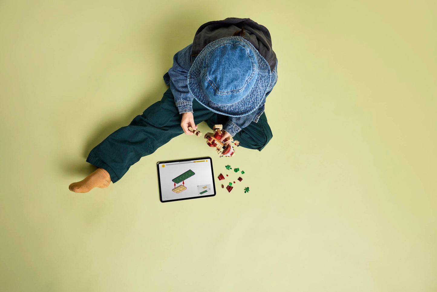 Baby Dinosaur Dolores: Aquilops