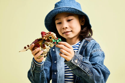 Baby Dinosaur Dolores: Aquilops