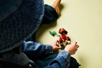 Baby Dinosaur Dolores: Aquilops