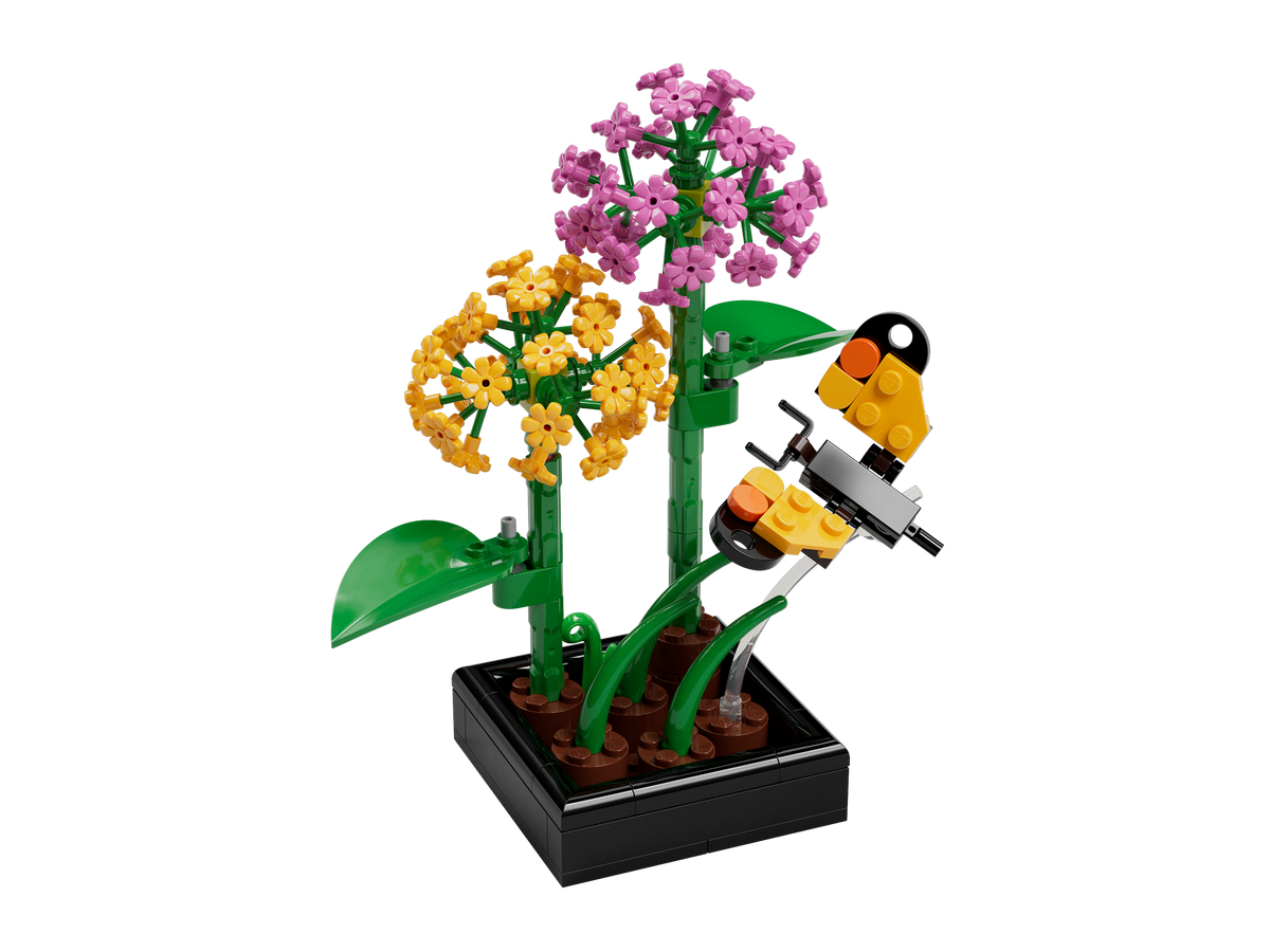Butterfly Garden