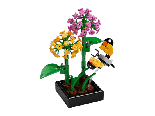 Butterfly Garden