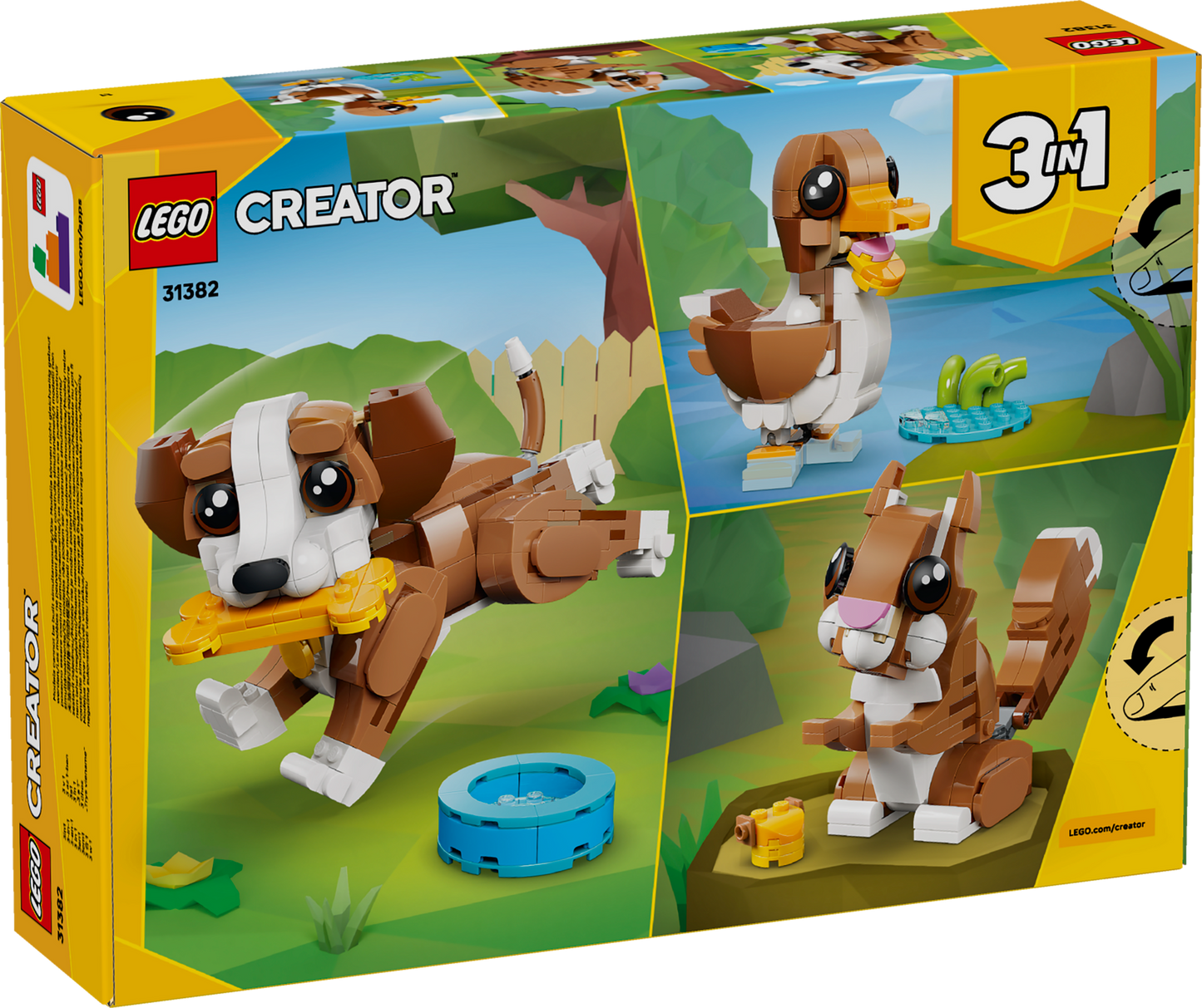 Cute Animals: Playful Puppy Dog