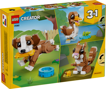 Cute Animals: Playful Puppy Dog