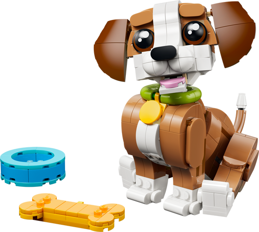 Cute Animals: Playful Puppy Dog