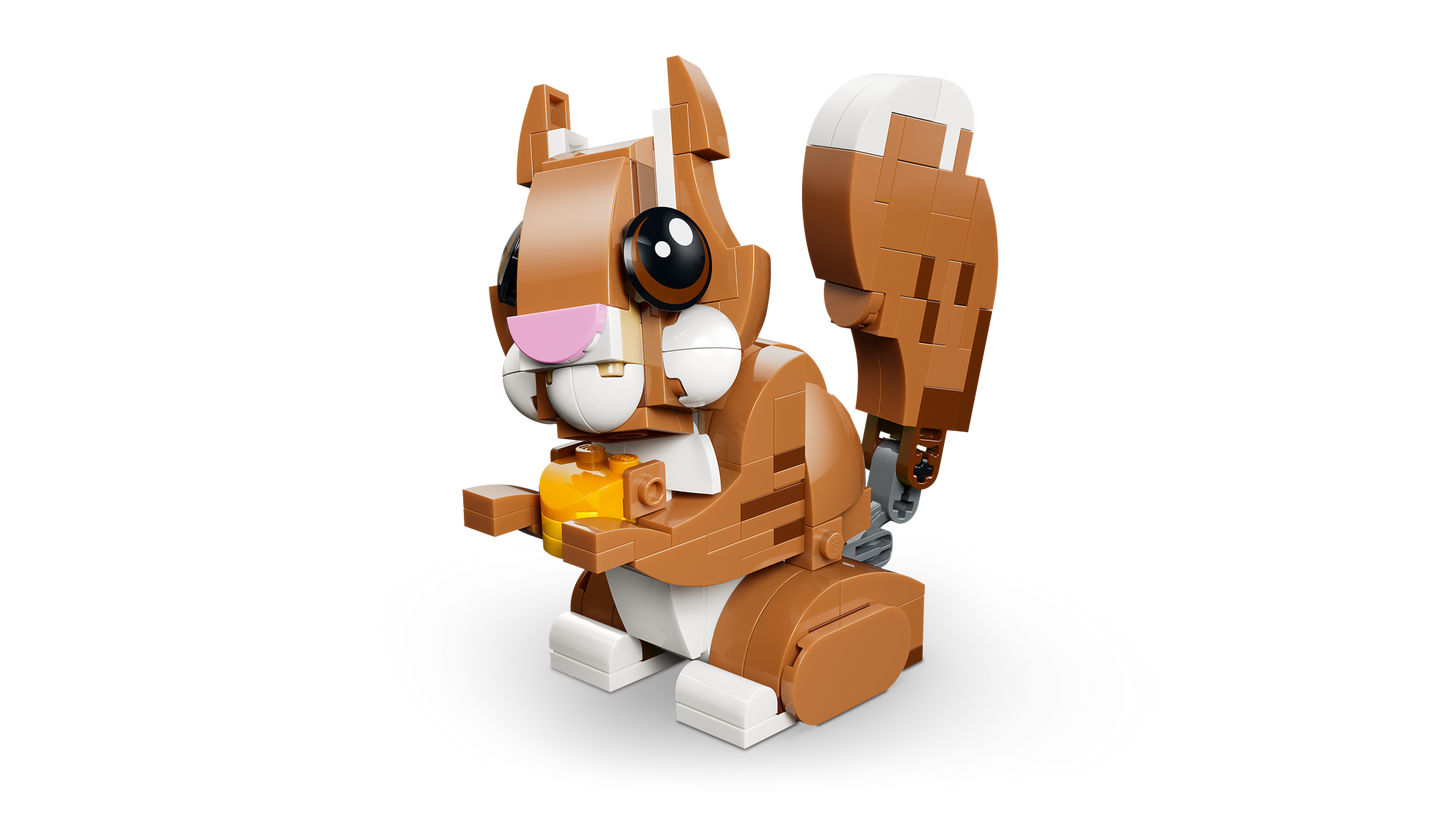 Cute Animals: Playful Puppy Dog