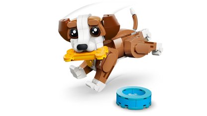 Cute Animals: Playful Puppy Dog