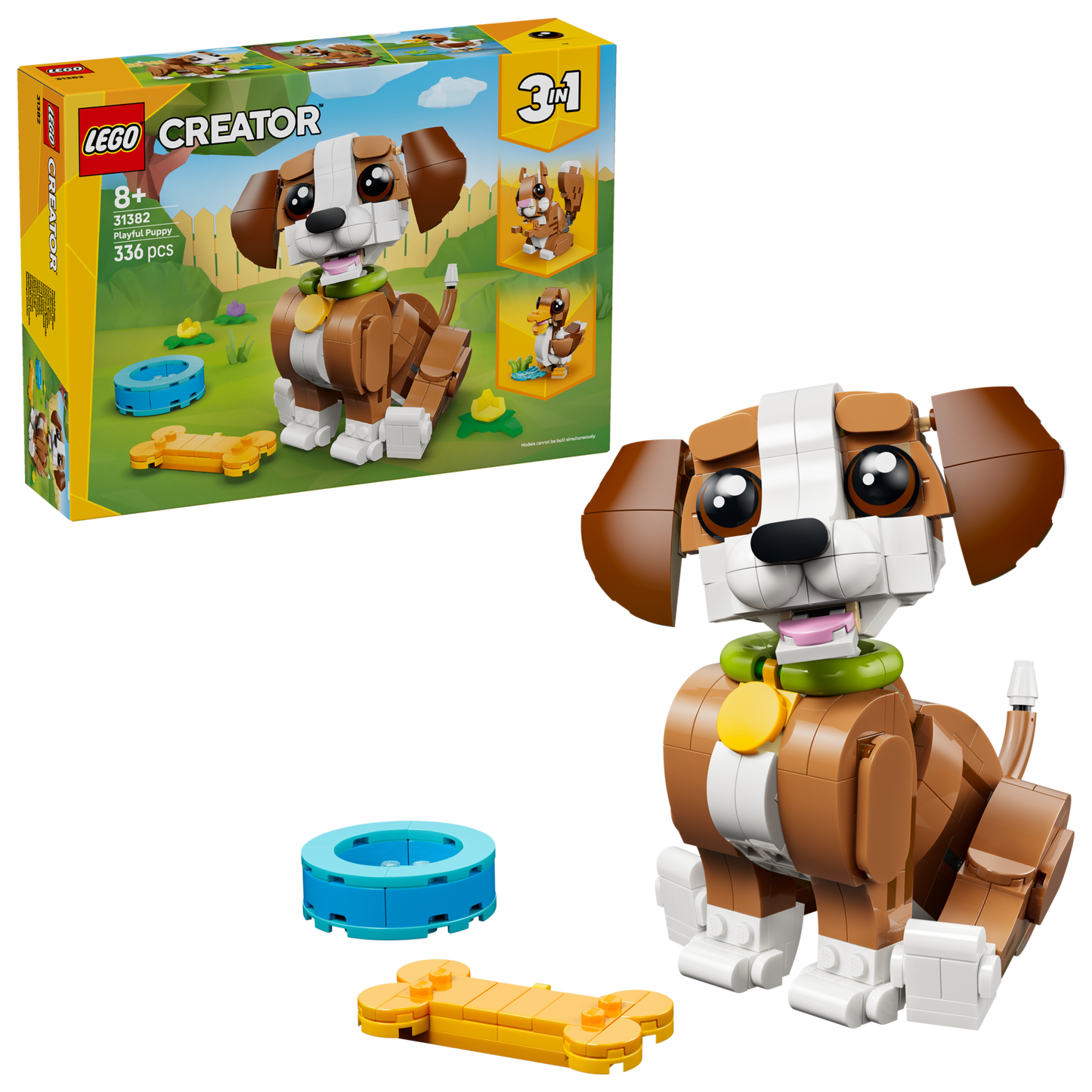 Cute Animals: Playful Puppy Dog