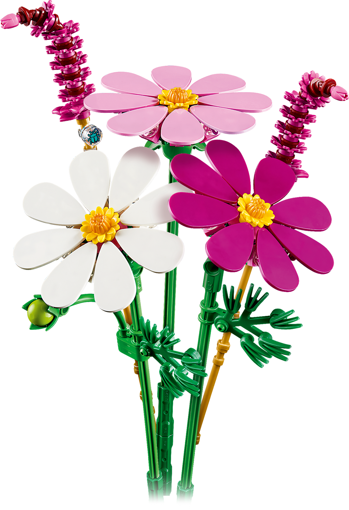 Cosmos Flowers