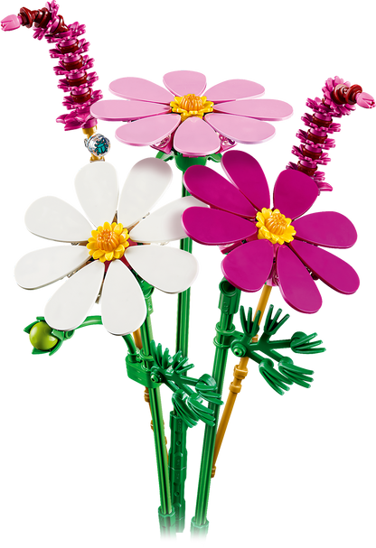 Cosmos Flowers