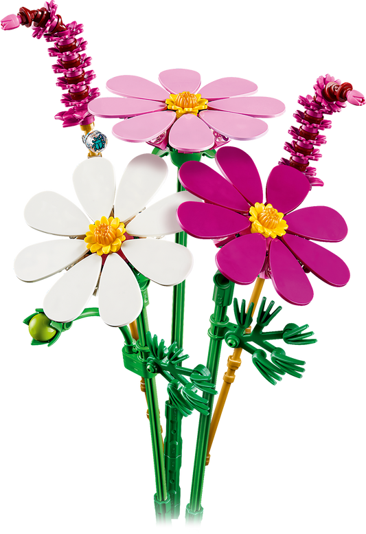 Cosmos Flowers