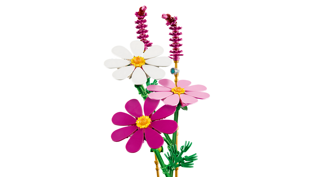 Cosmos Flowers