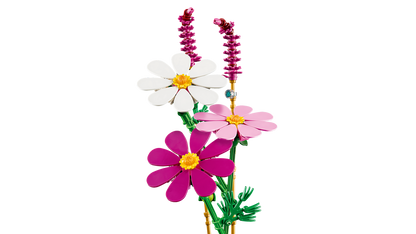 Cosmos Flowers