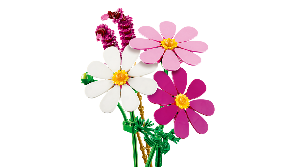 Cosmos Flowers