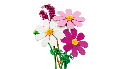 Cosmos Flowers