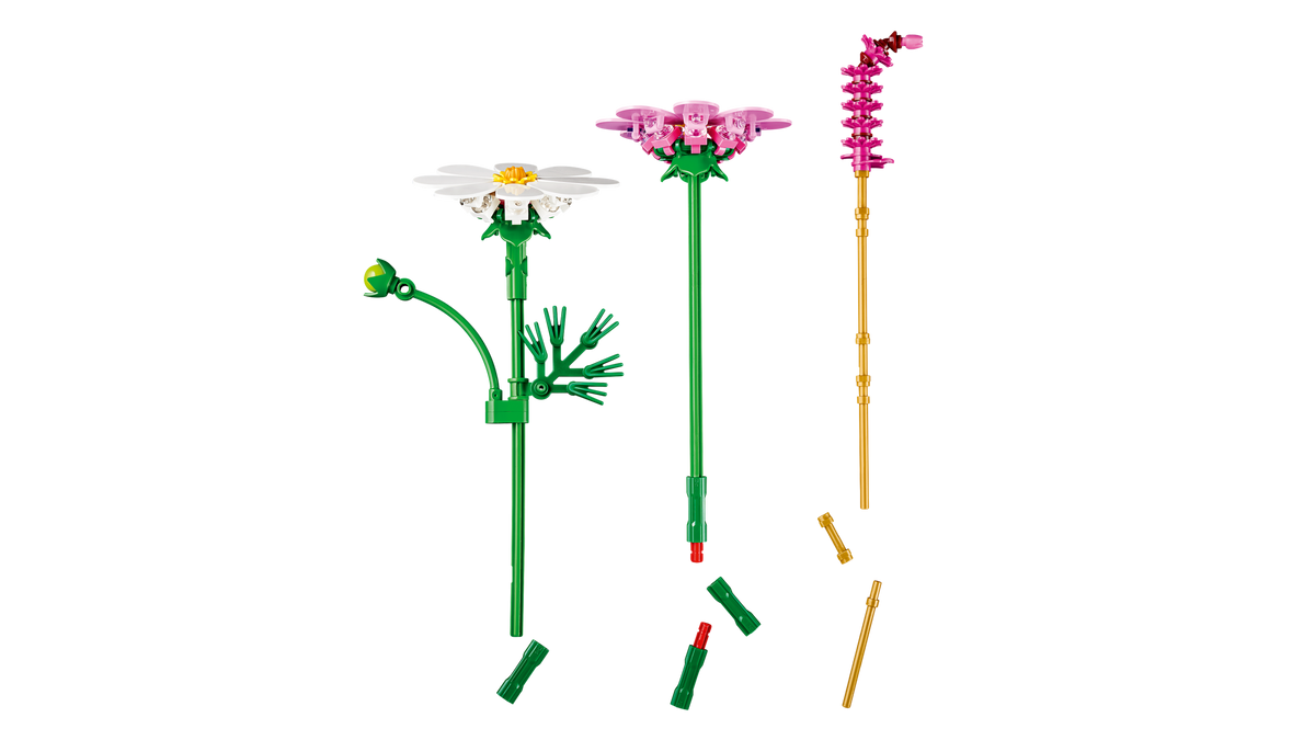 Cosmos Flowers