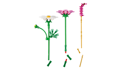 Cosmos Flowers