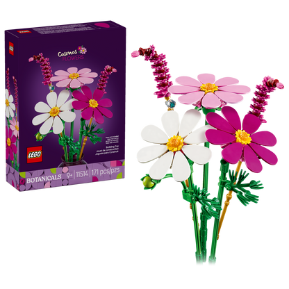 Cosmos Flowers