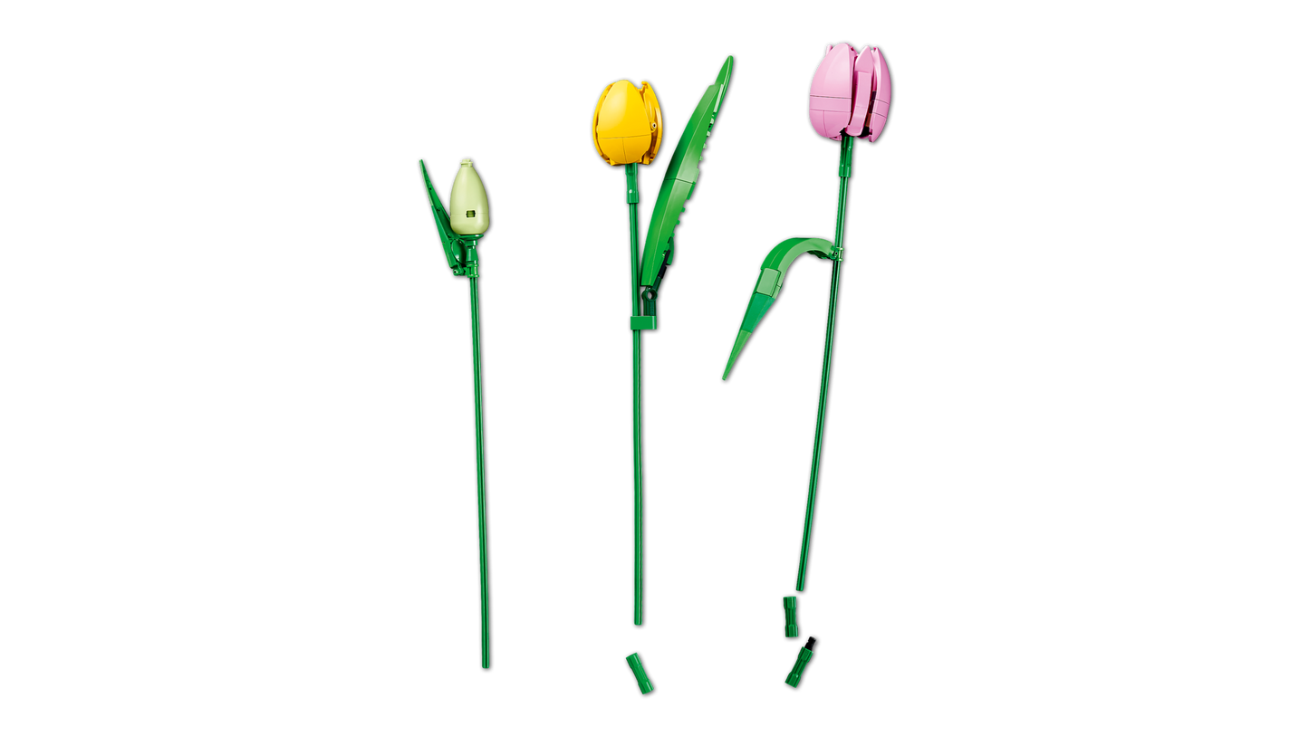 Tulip Bouquet