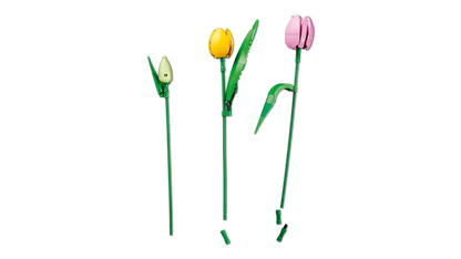Tulip Bouquet