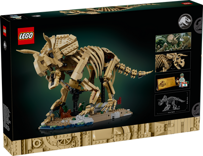 Dinosaur Fossils: Triceratops