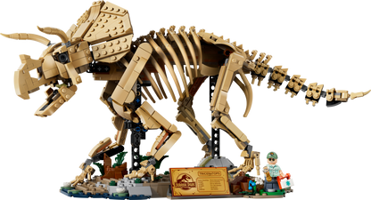 Dinosaur Fossils: Triceratops