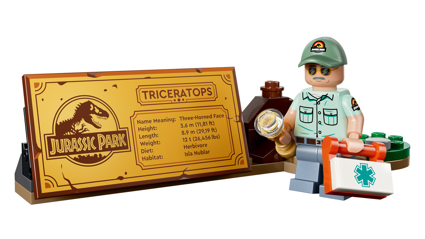 Dinosaur Fossils: Triceratops