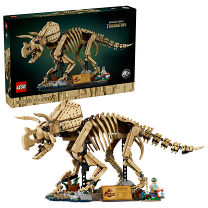 Dinosaur Fossils: Triceratops