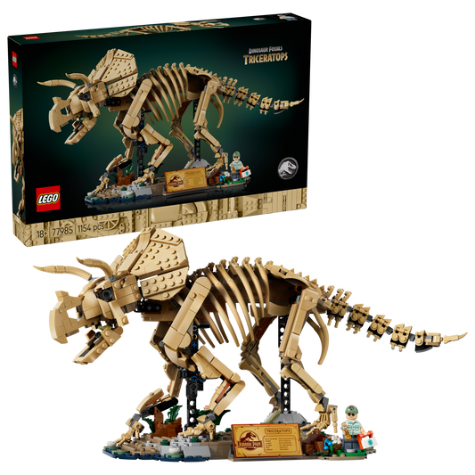 Dinosaur Fossils: Triceratops