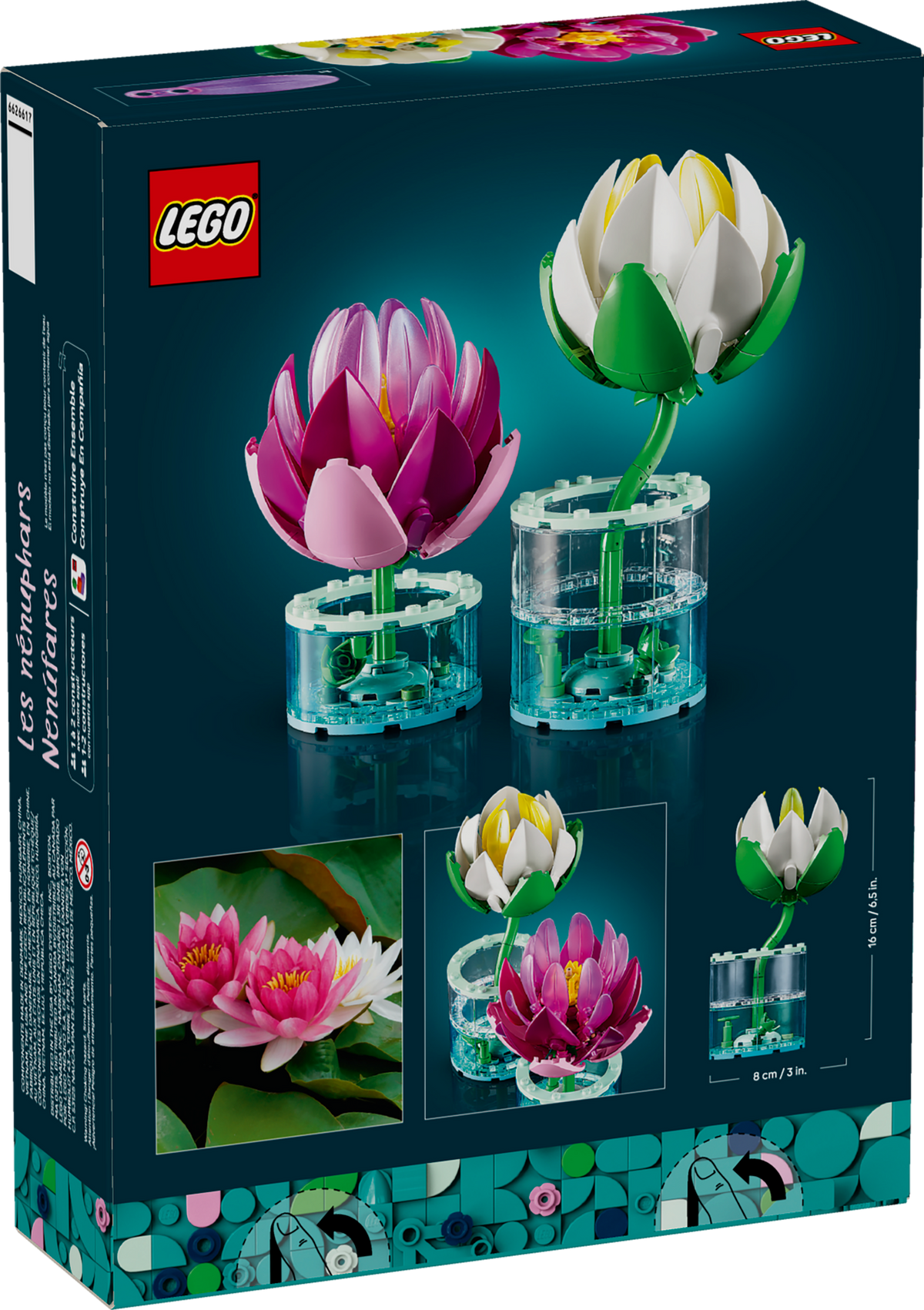 Water Lilies