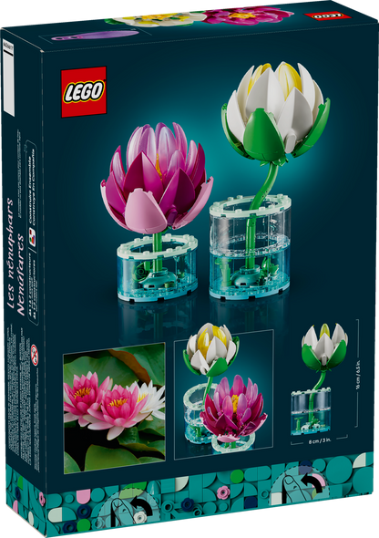 Water Lilies