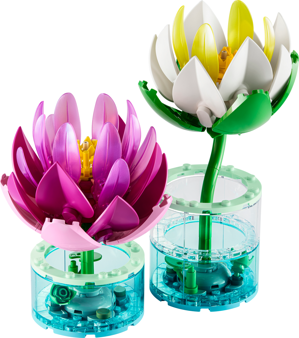 Water Lilies