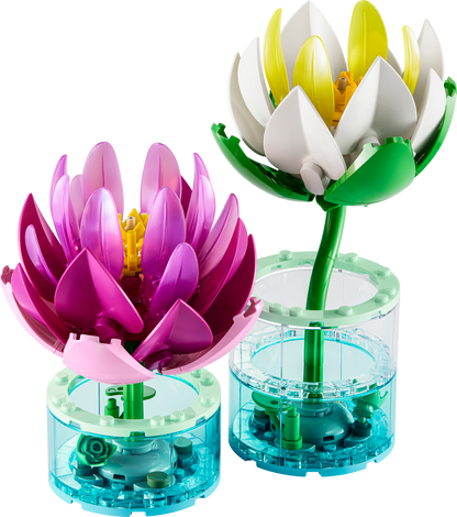 Water Lilies