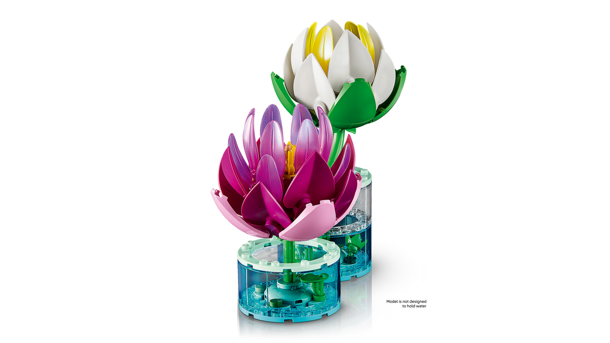 Water Lilies